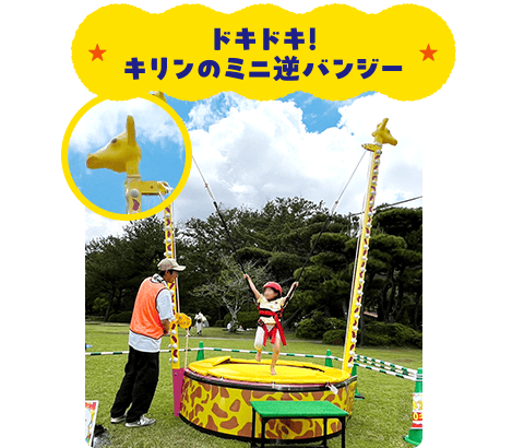 ドキドキ！キリンのミニ逆バンジー